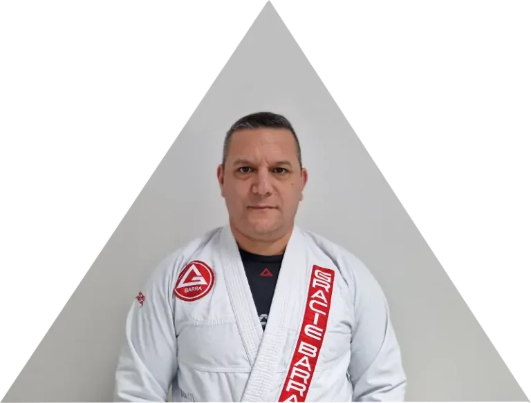 prof. Damir Mikelič